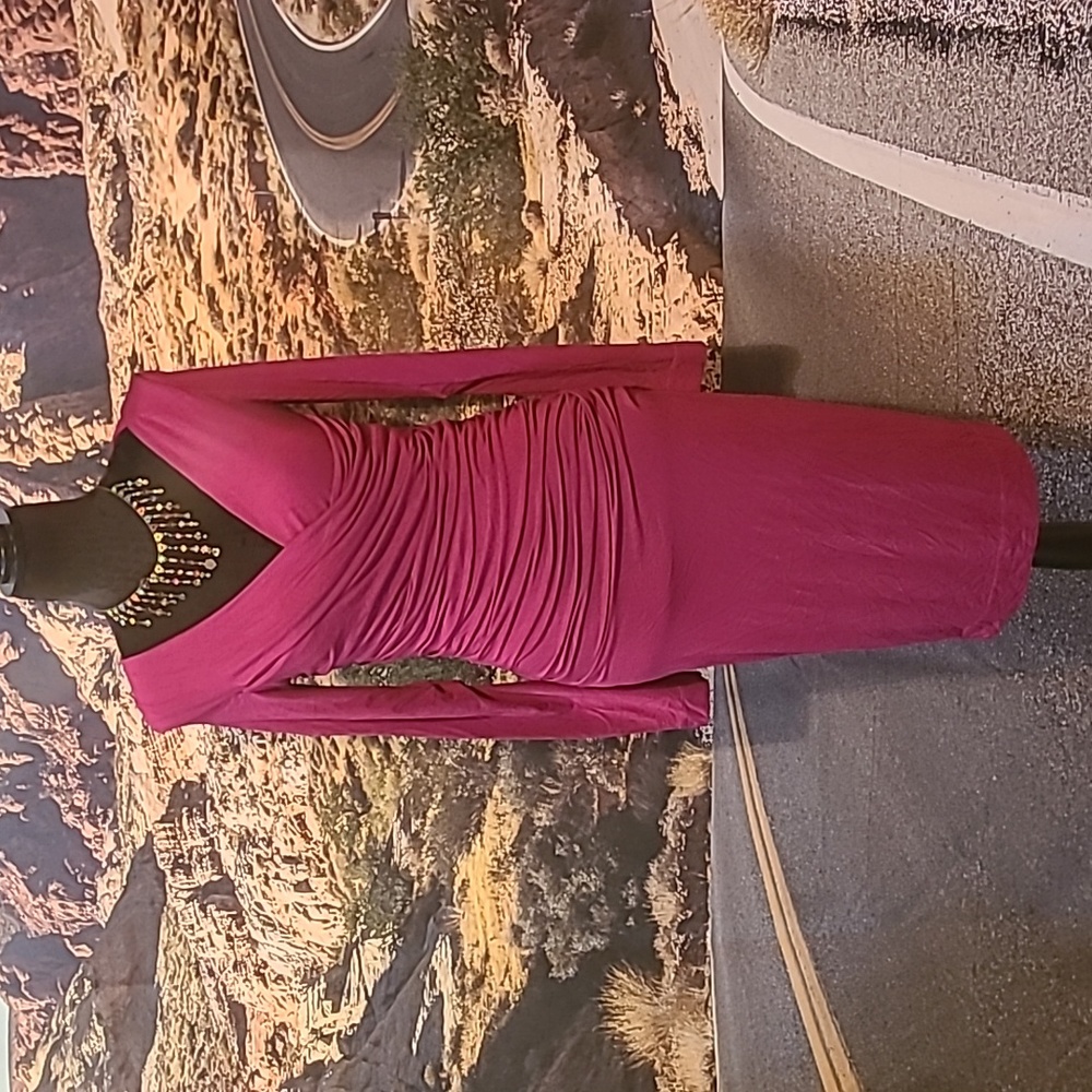 Diane von Furstenberg raspberry Bentley dress
